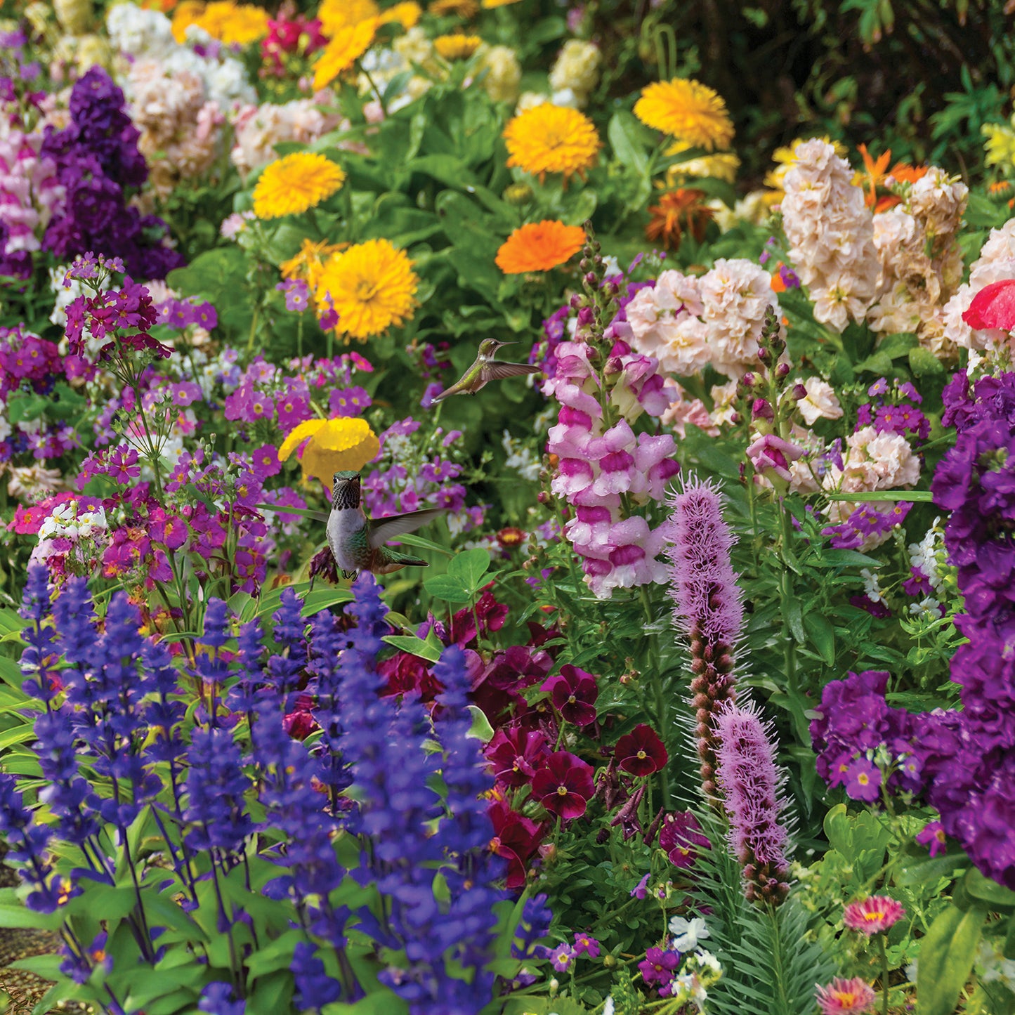 Hummingbird Haven Flower Garden Mat