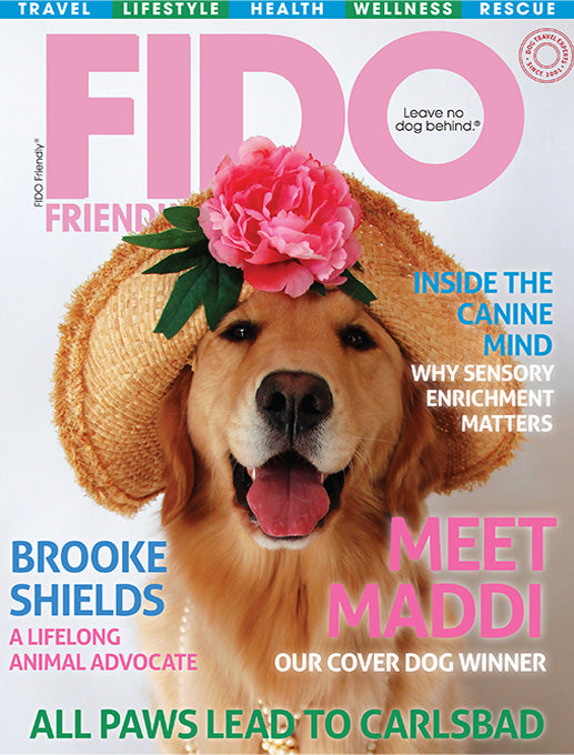 FIDO Friendly - Digital Subscription
