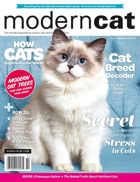 Modern Cat - Digital Subscription
