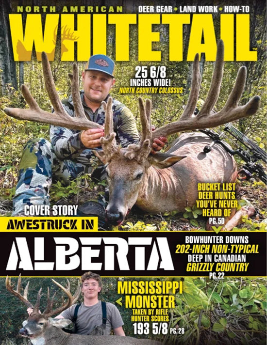 North American Whitetail