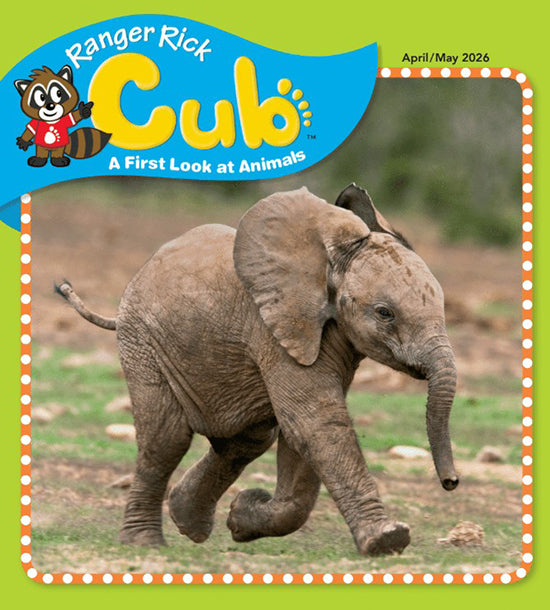Ranger Rick Cub